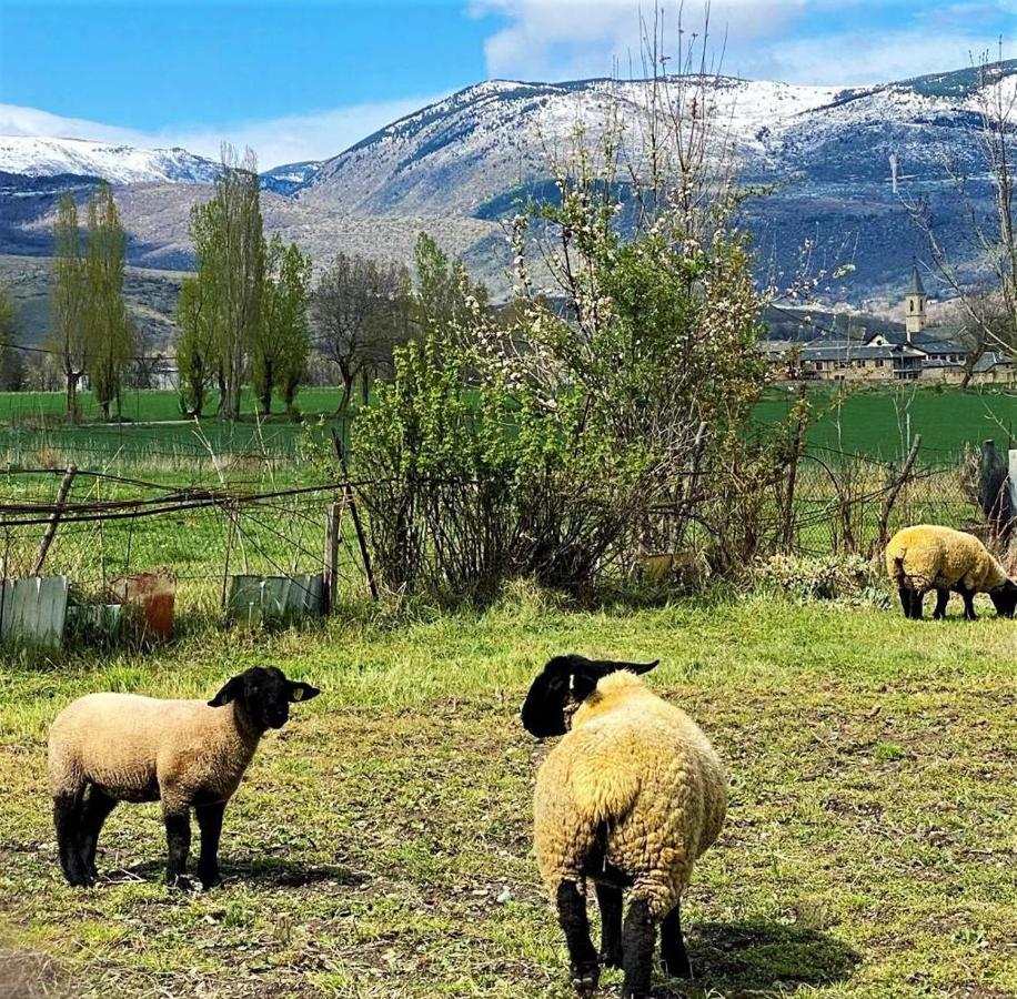 Amplio Apartamento En Puigcerdà Exteriér fotografie